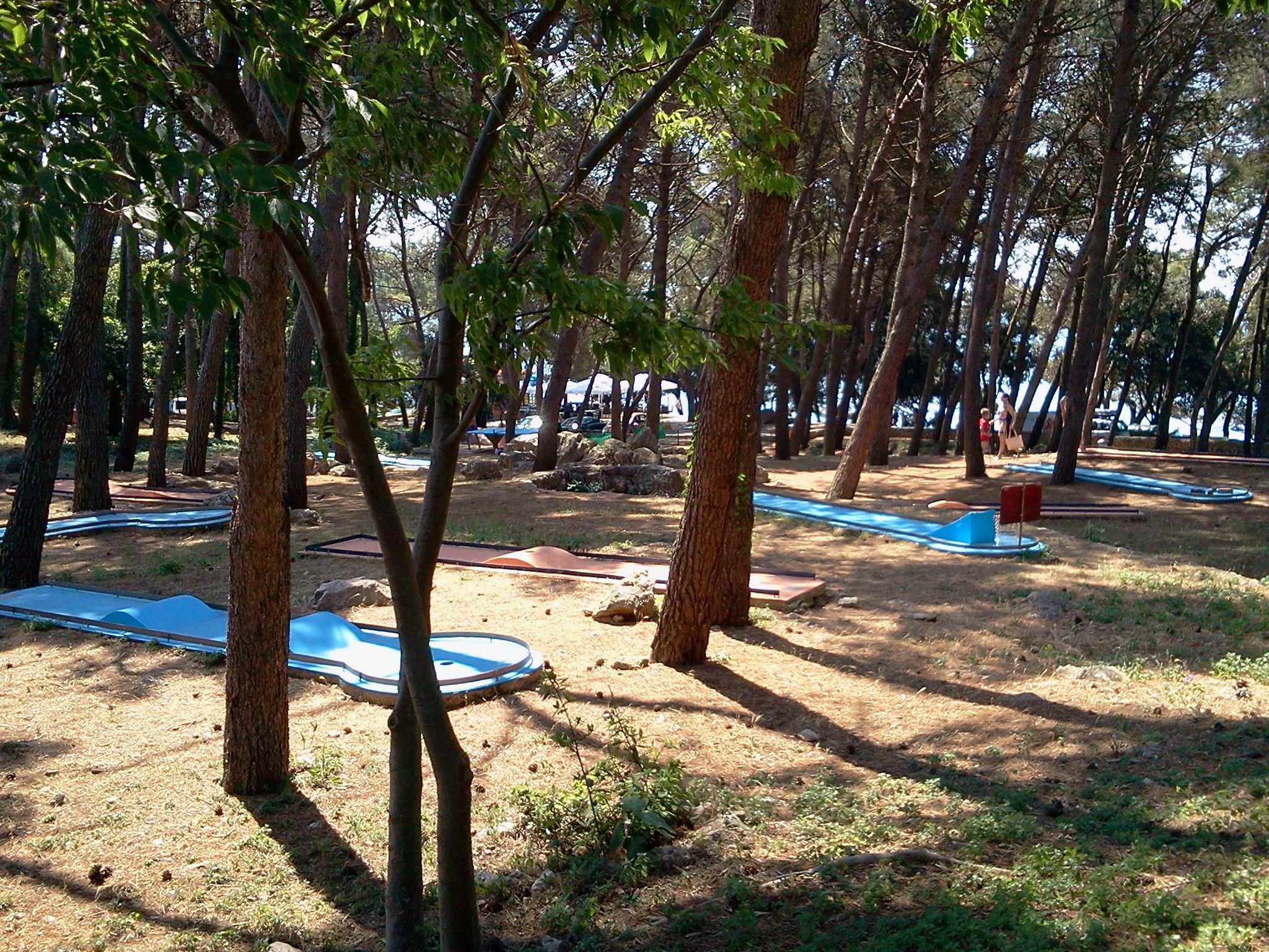 A forested area with multiple blue mats laid out on the ground, likely for outdoor activities.