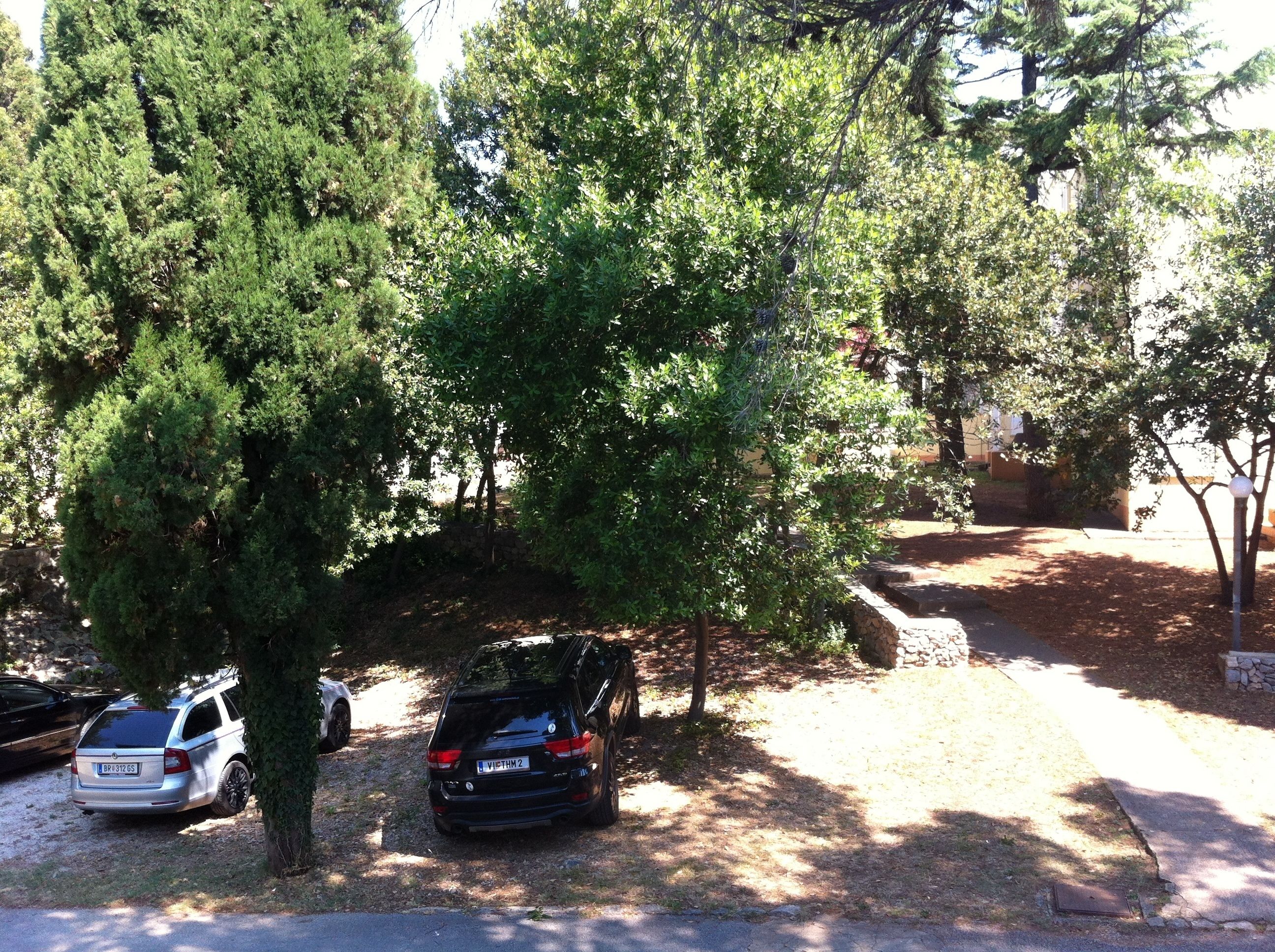 A parking area with two cars parked under trees, surrounded by greenery.