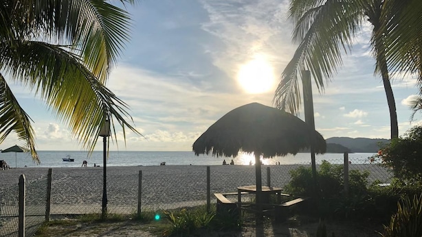 A beach scene with a thatched umbrella, palm trees, and a sandy area with a fence. - Mali-Mali Beach Resort (Langkawi)