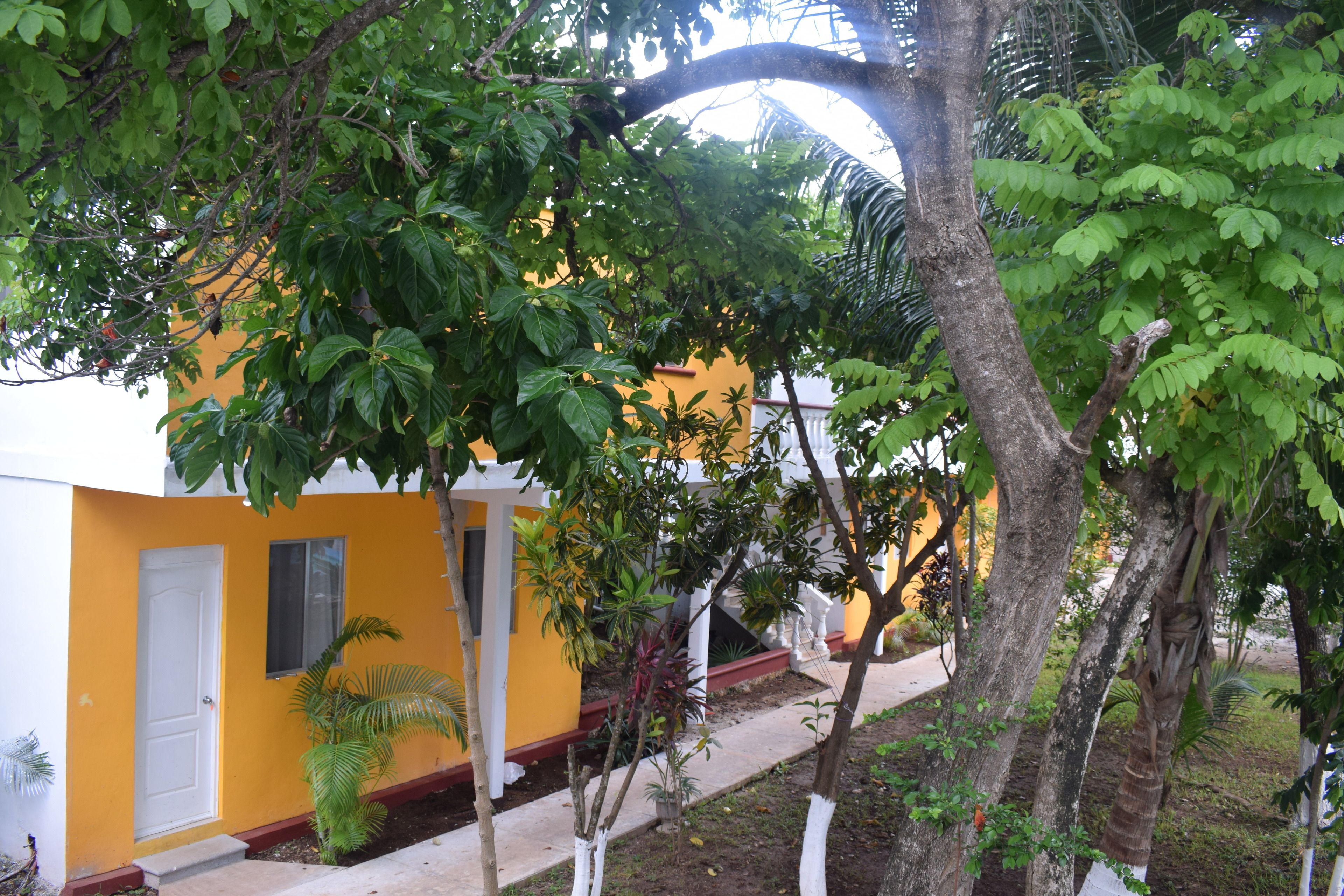 Foto - Mansion Giahn Bed & Breakfast