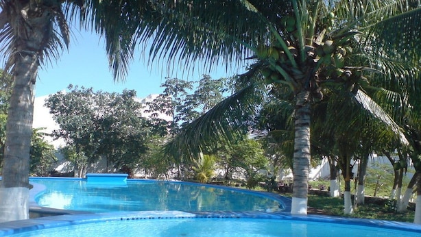 Una piscina azul cristalina rodeada de palmeras y follaje.
