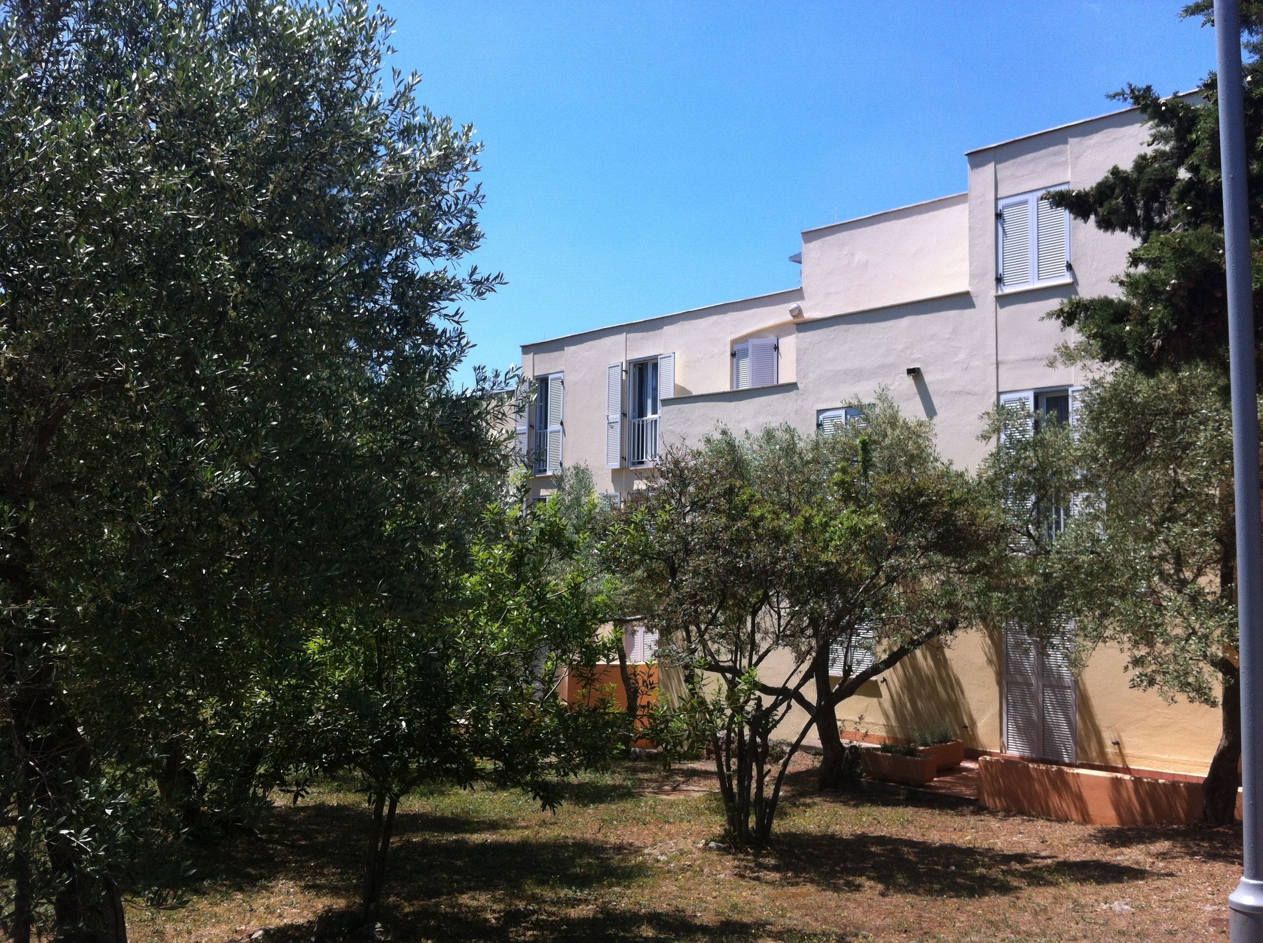 A modern building with a flat roof and light-colored walls, surrounded by trees and a clear blue sky.