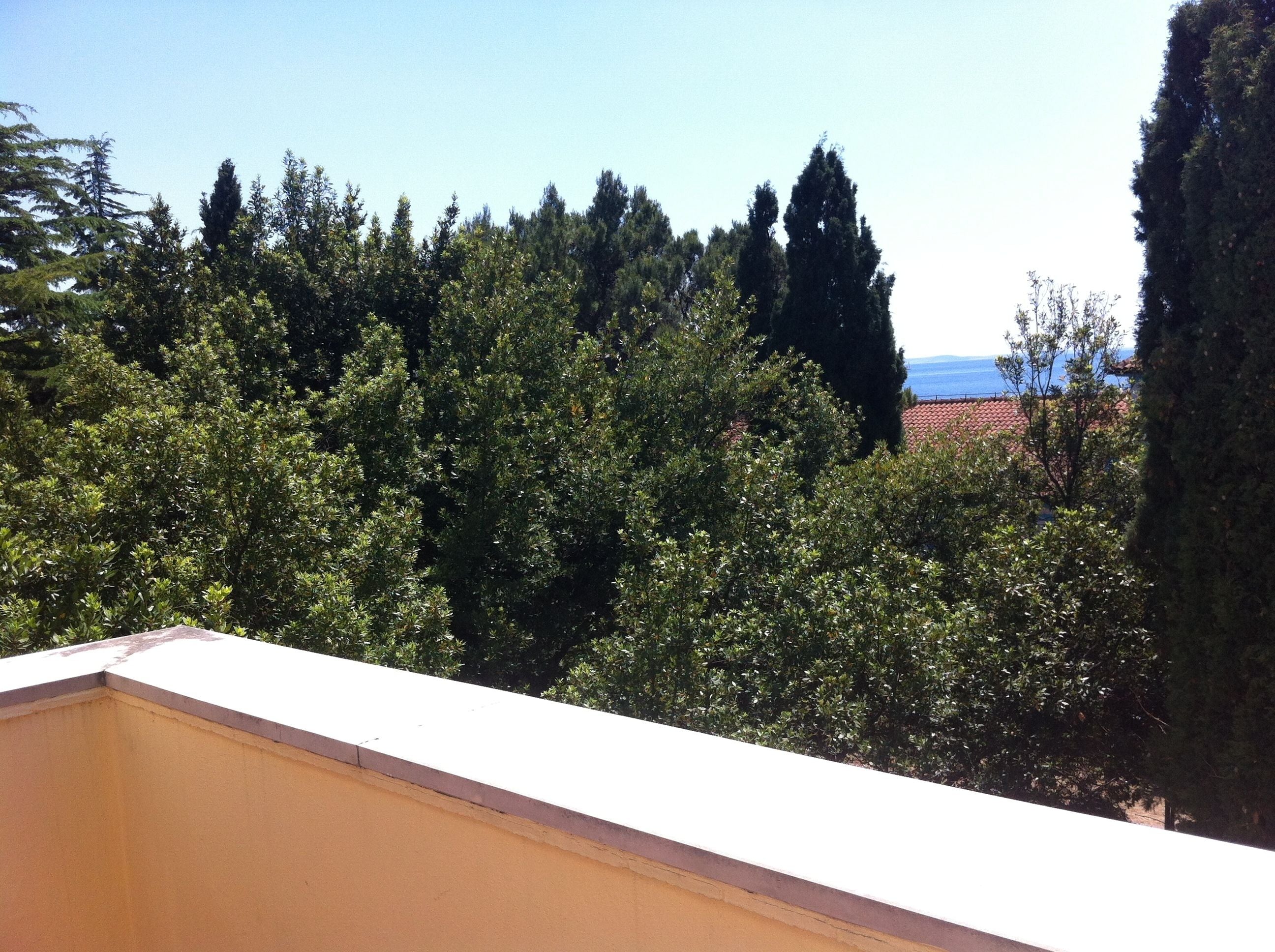 Une vue sur un balcon bordé d’une végétation luxuriante, avec en arrière-plan une vue lointaine sur la côte.