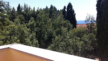 Une vue sur un balcon bordé d’une végétation luxuriante, avec en arrière-plan une vue lointaine sur la côte.