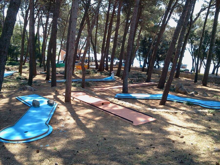 Entorno natural con árboles y equipamiento para ejercicios al aire libre.