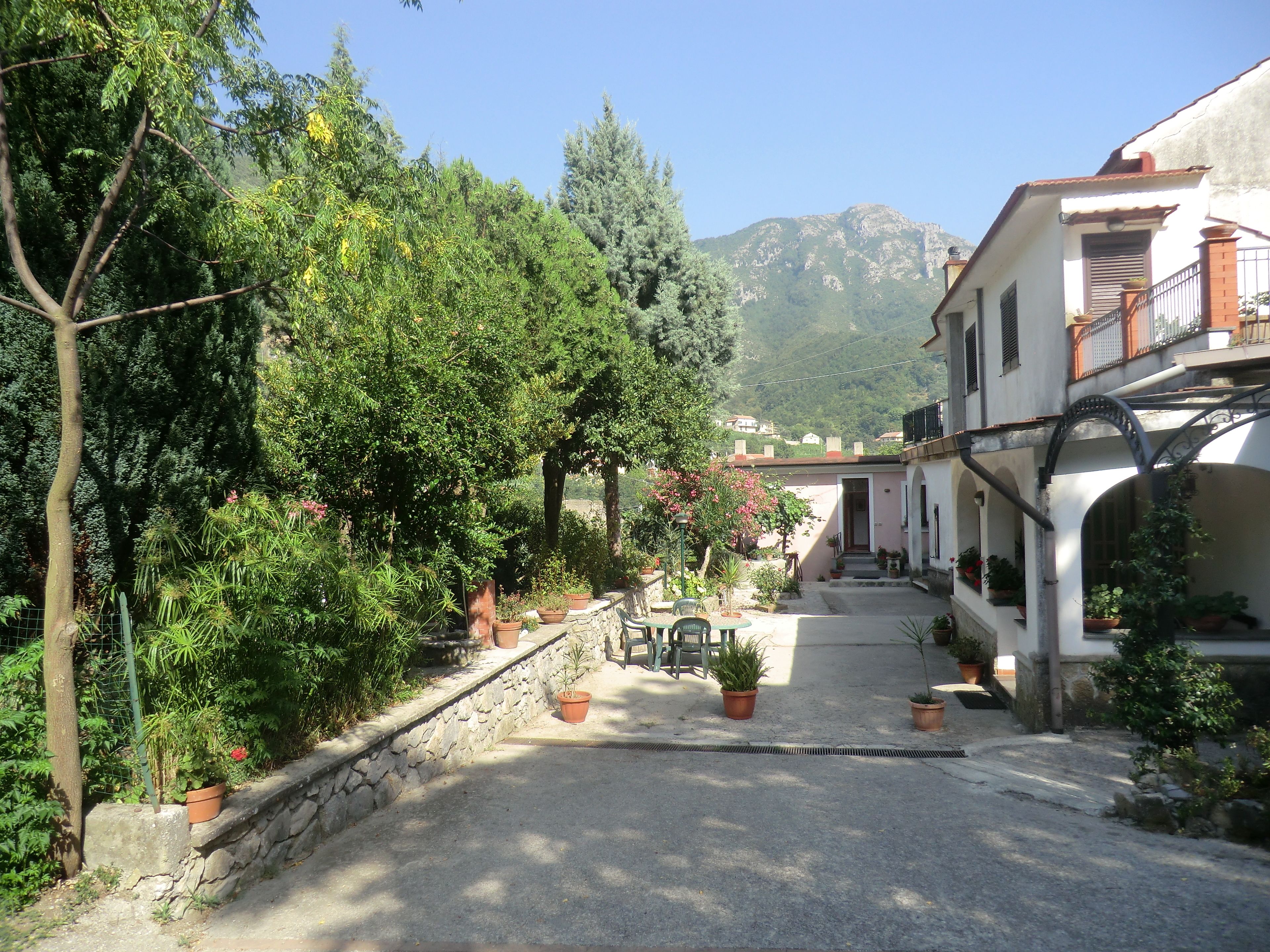 Vista dalla struttura