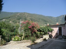 Un barrio residencial con un sendero de piedra que lleva a una casa de fachada rosa, rodeada de abundante vegetación y un paisaje montañoso.