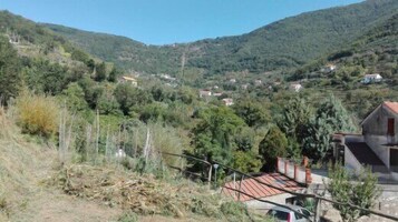 Paisaje rural con casas rodeadas de vegetación y colinas.