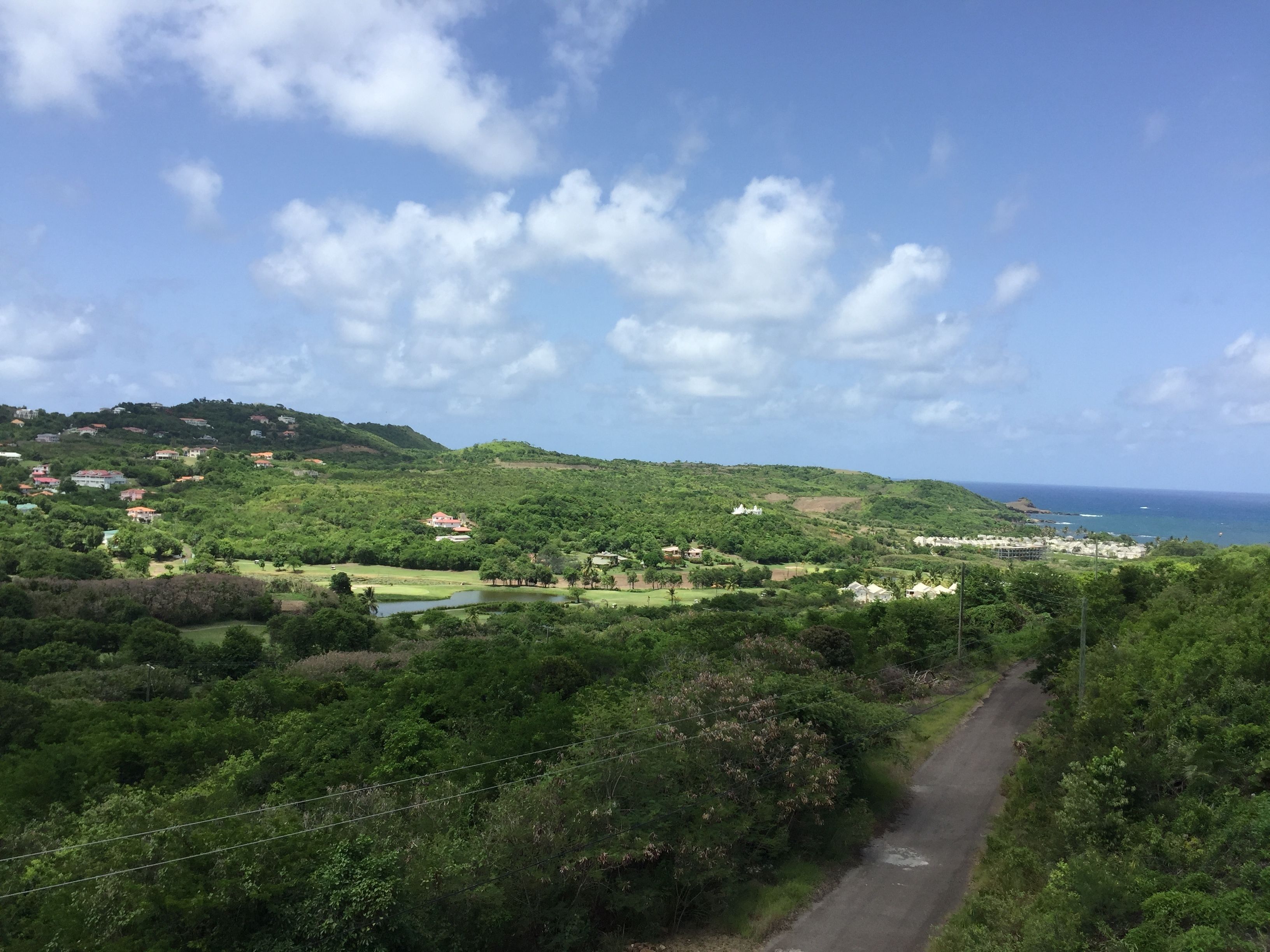 Un paysage verdoyant et luxuriant, avec une route qui mène à une zone côtière.
