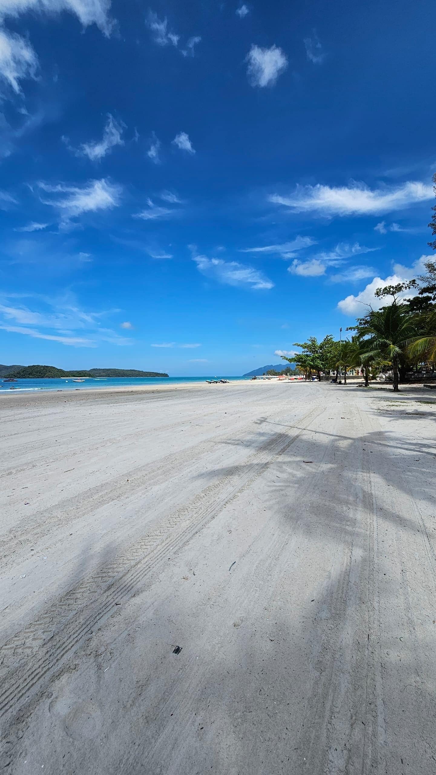 Una playa con cielo despejado, orilla de arena y palmeras.