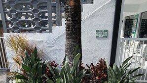 Zona ajardinada con diversas plantas y una palmera, un muro blanco y un letrero que indica prohibido el acceso con arena.
