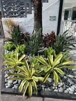 Zona ajardinada con diversas plantas y una palmera, un muro blanco y un letrero que indica prohibido el acceso con arena.