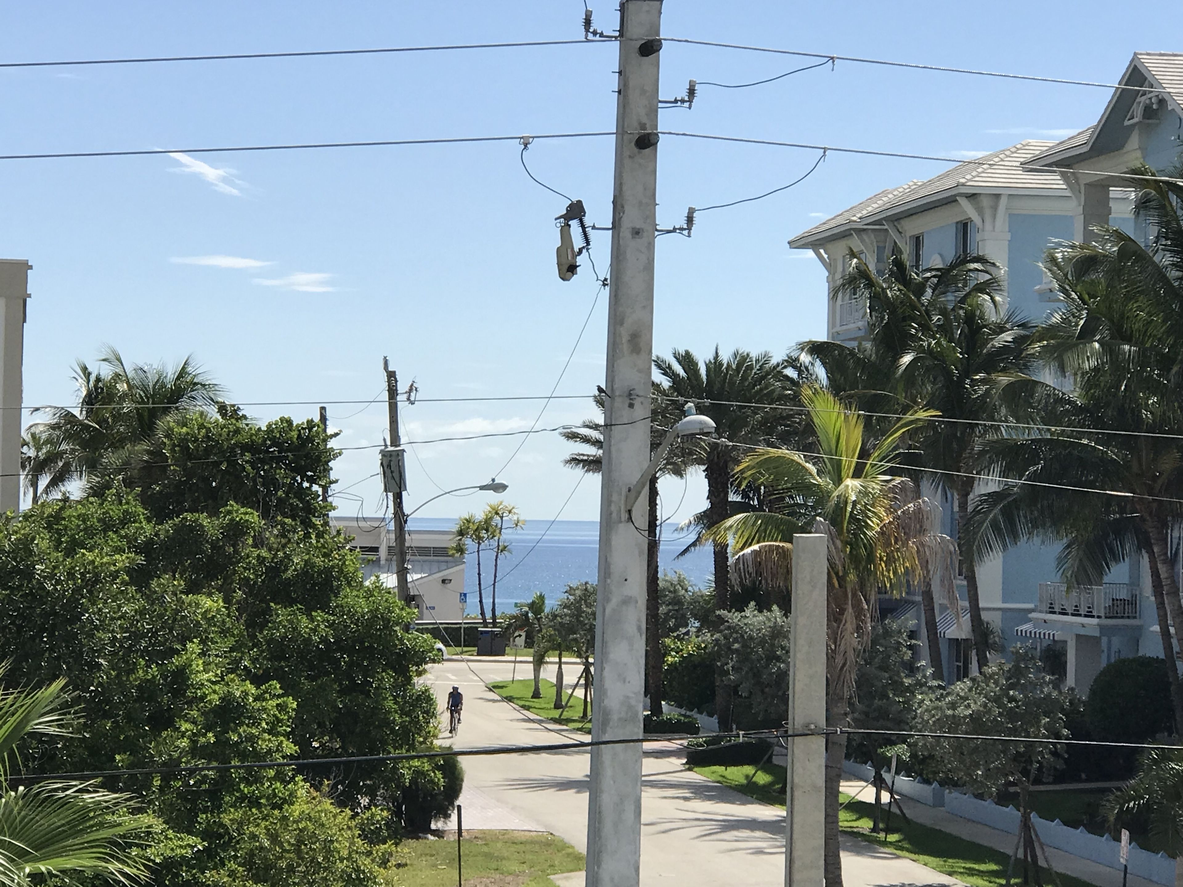 Una calle residencial con casas, palmeras y una vista despejada del océano.