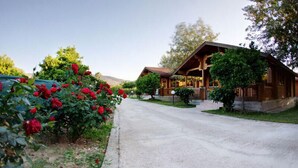 A wooden lodge with a porch and a garden with red roses. - Sandy's Studios Apartments & Log Villas (Kos)