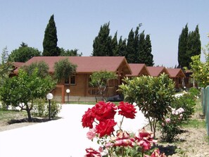 Property grounds - Sandy's Studios Apartments & Log Villas (Kos)