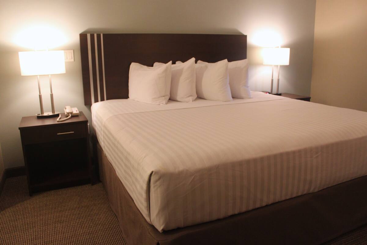 A hotel room with a large bed, two bedside lamps, a nightstand with a phone, and a dark headboard.