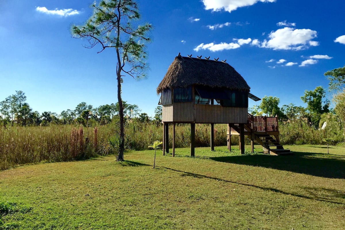 A thatched-roof structure with a wooden deck, surrounded by grass and trees.
