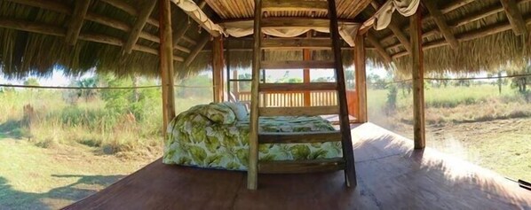 Blackout drapes, free rollaway beds