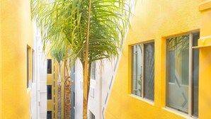 A narrow alleyway with yellow buildings, a palm tree, and windows.