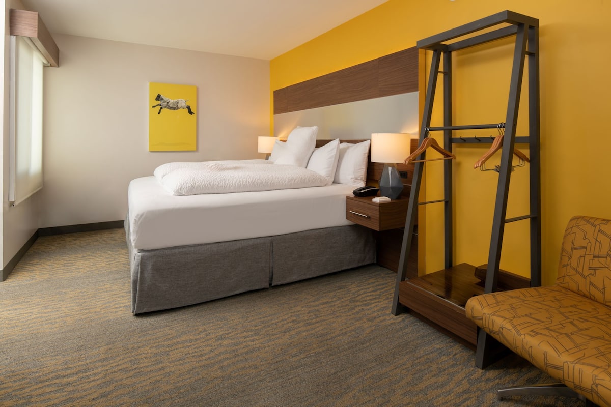 Room, 1 King Bed, Accessible