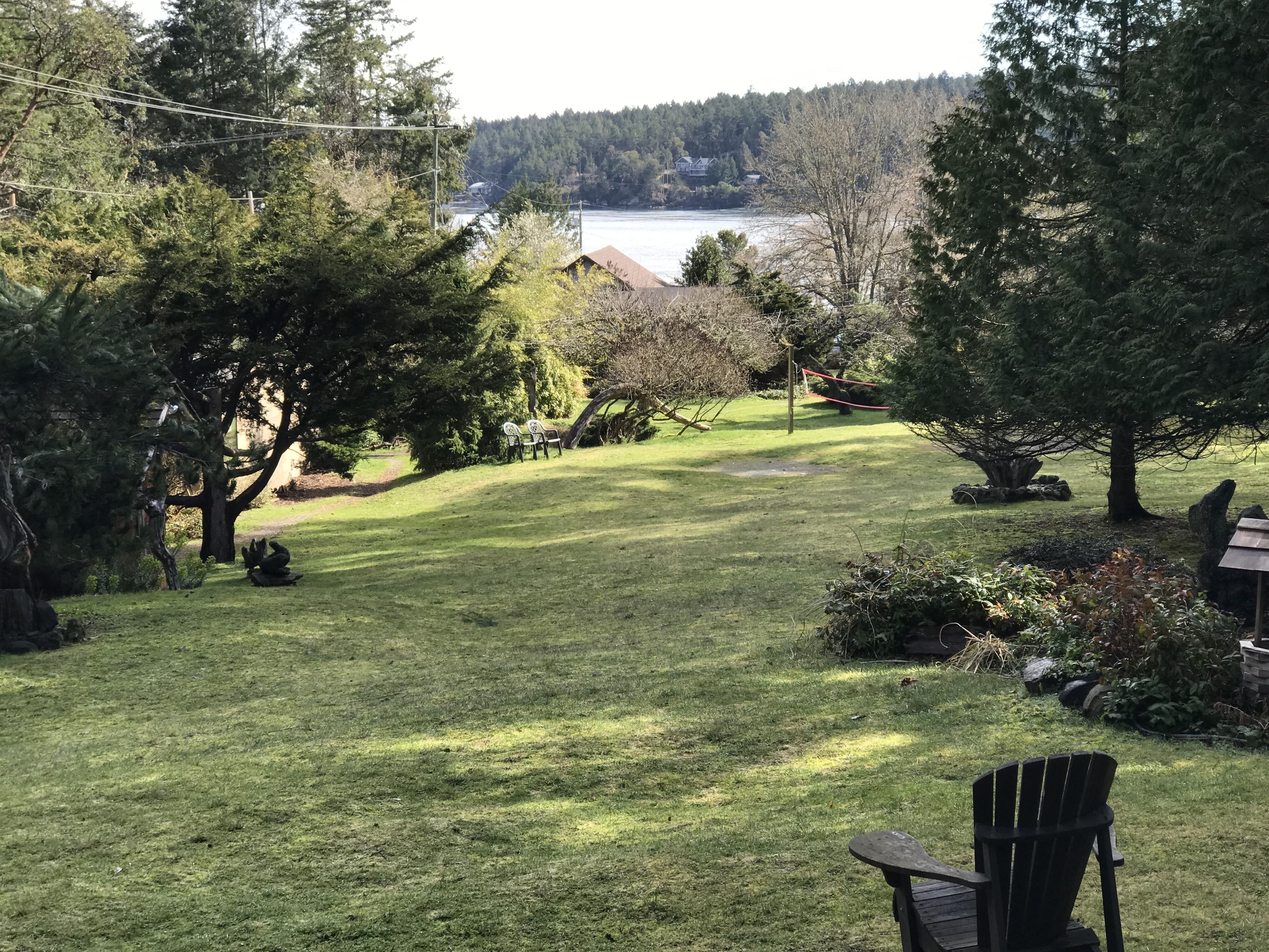 A grassy yard with a view of a lake and trees.