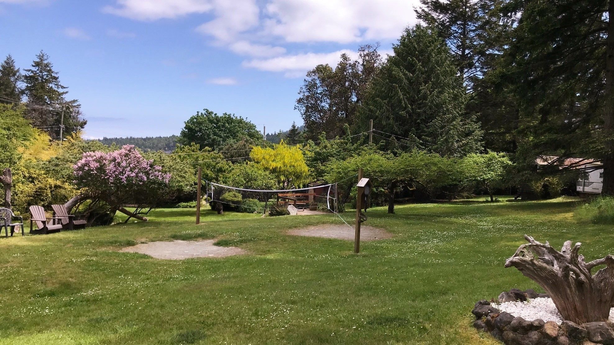 Um jardim com baloiço de madeira, uma pequena construção de madeira e uma grande árvore com flores cor-de-rosa.