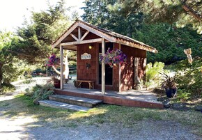 Uma cabana rústica de madeira com varanda, identificada com a placa “OFFICE”, rodeada por vegetação exuberante.