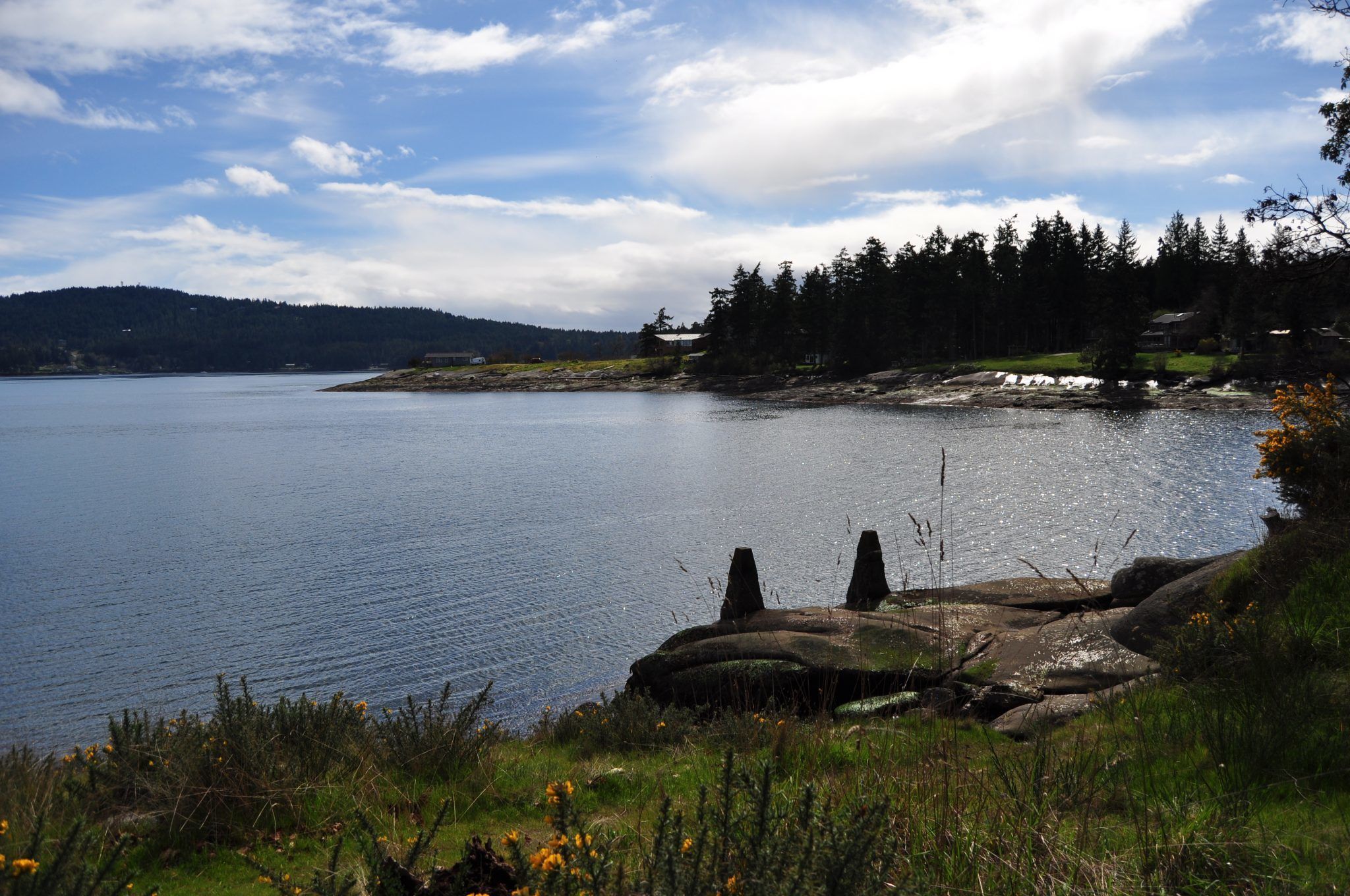 A calm lake with rocky shores, surrounded by dense forest and a clear sky.