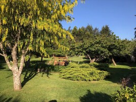 Um jardim bem cuidado com um banco de madeira, sebes podadas e diversas árvores, incluindo uma com flores amarelas.