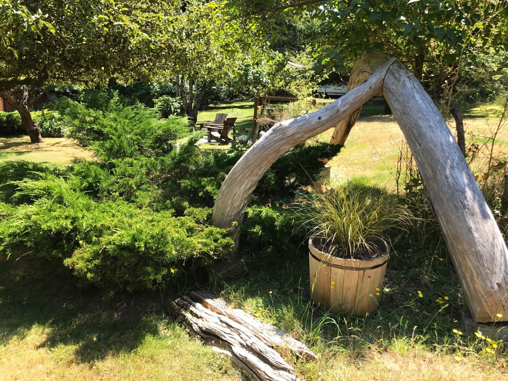 A garden with a wooden structure, a wooden planter, and various shrubs.
