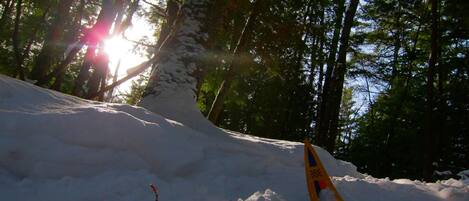 A snowy slope with a ski track and trees in the background.