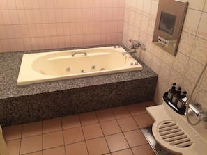 Separate tub and shower, hair dryer