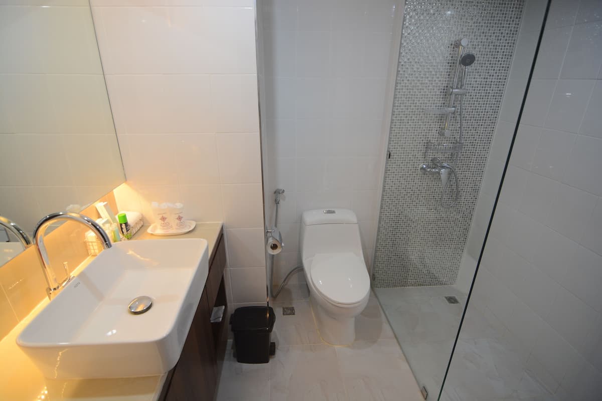 Duş, ücretsiz banyo/kozmetik ürünleri, saç kurutma makinesi, terlik