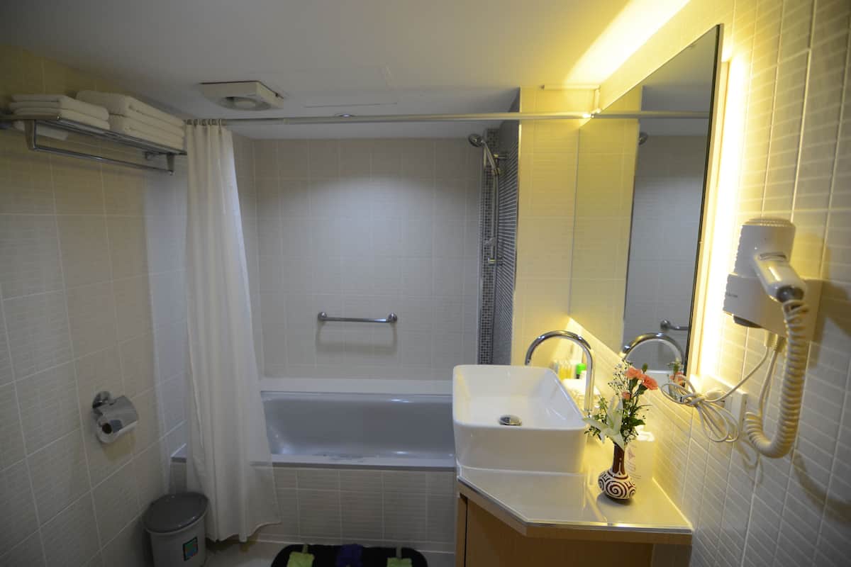 Duş, ücretsiz banyo/kozmetik ürünleri, saç kurutma makinesi, terlik