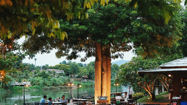 Ein Restaurant im Freien mit Tischen und Stühlen unter einem großen Baum, mit Blick auf ein Gewässer und viel Grün.