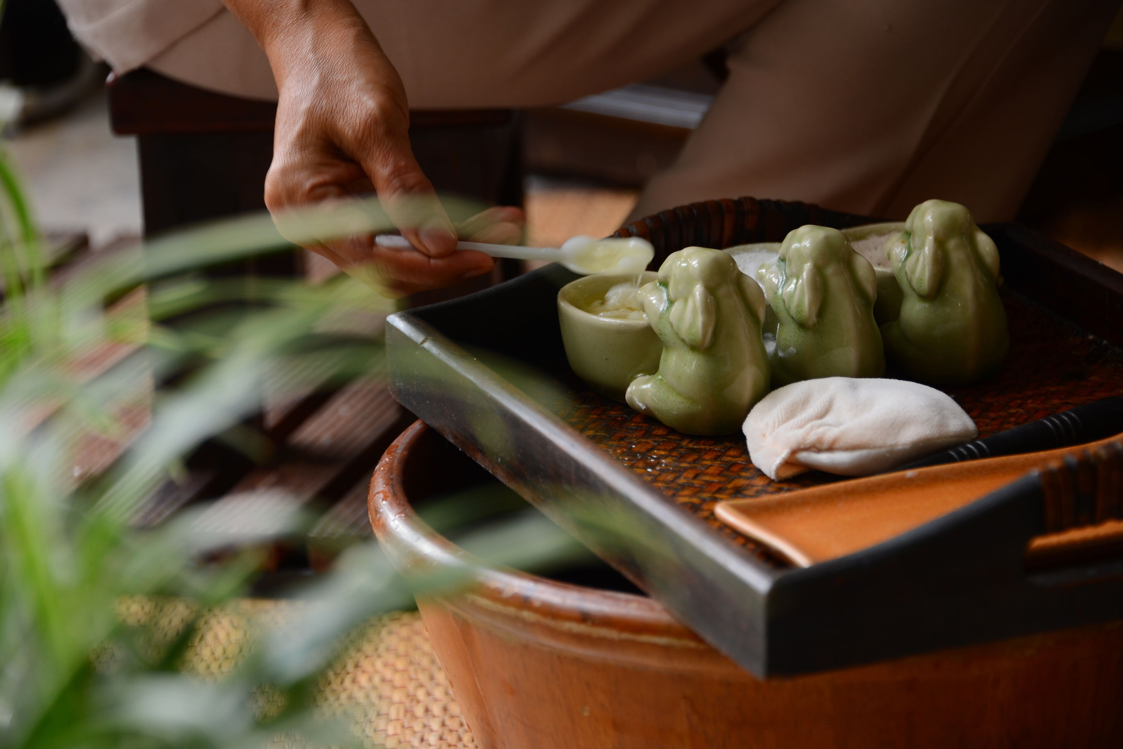 hot tub, body treatments, aromatherapy, thai massages, body wraps