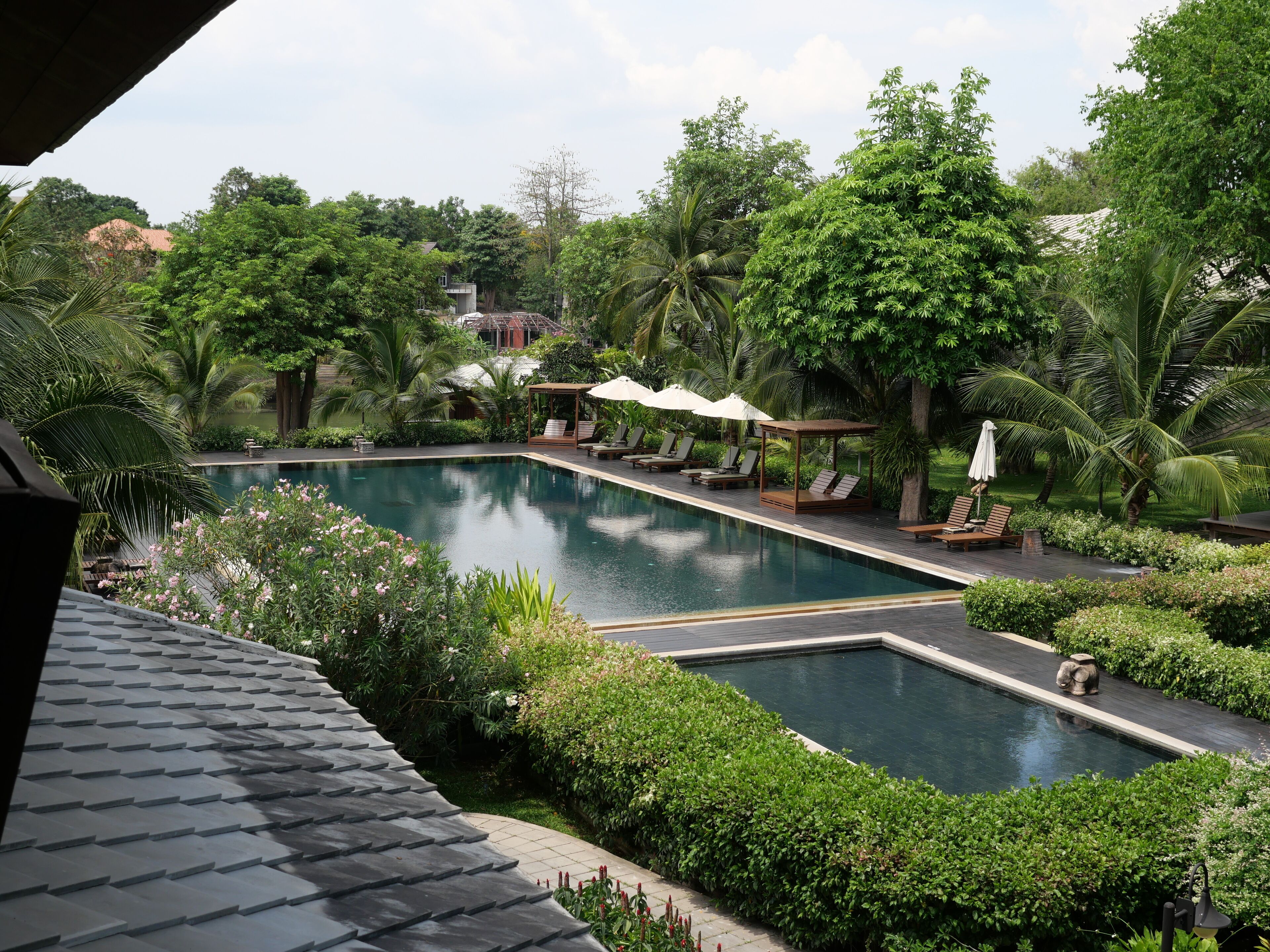 A swimming pool with lounge chairs and umbrellas, surrounded by lush greenery and palm trees.