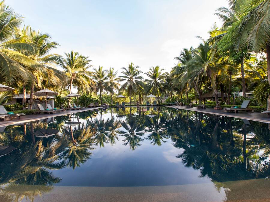 A pool with palm trees and lounge chairs.