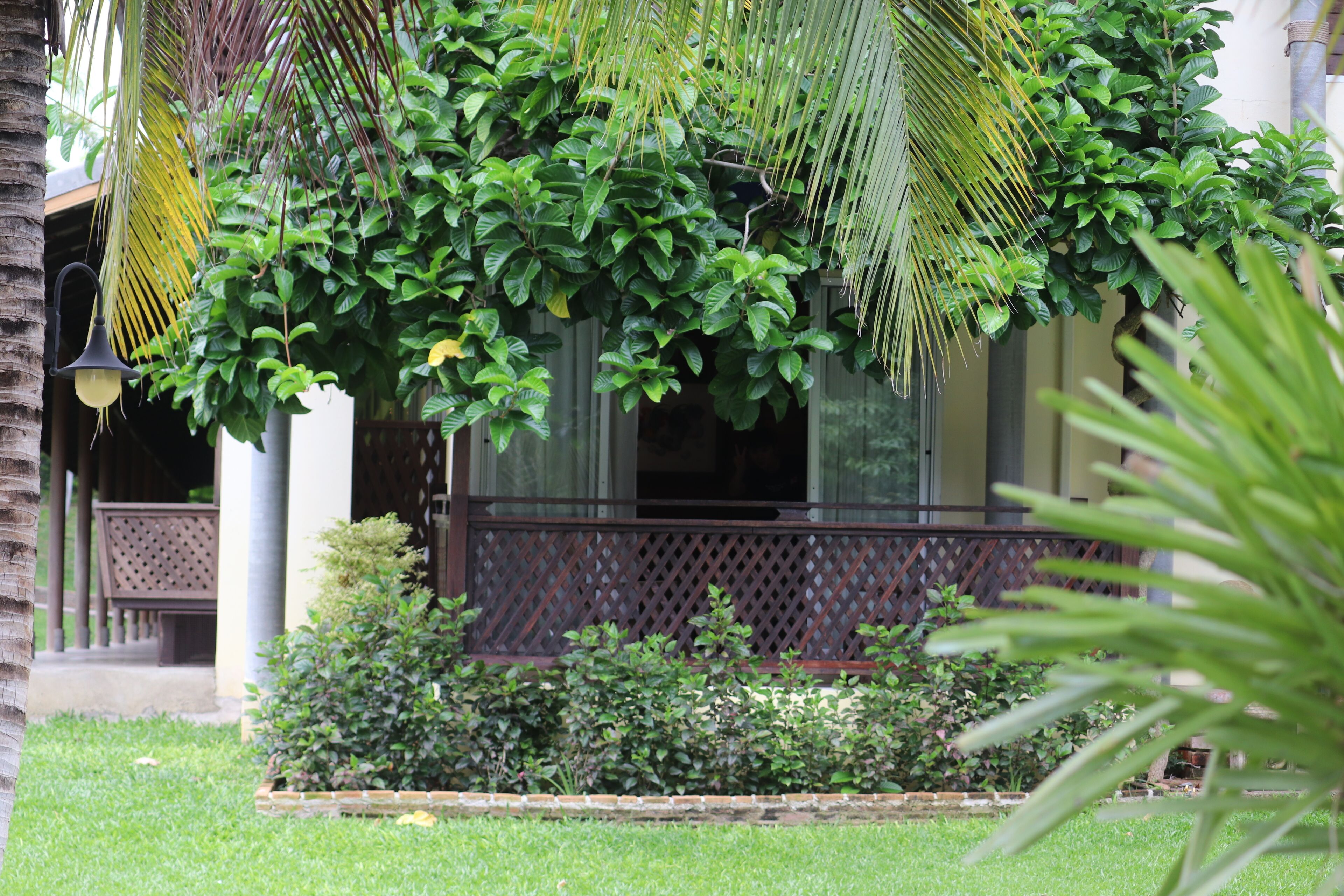 junior double room, 1 king bed, balcony, corner | park view