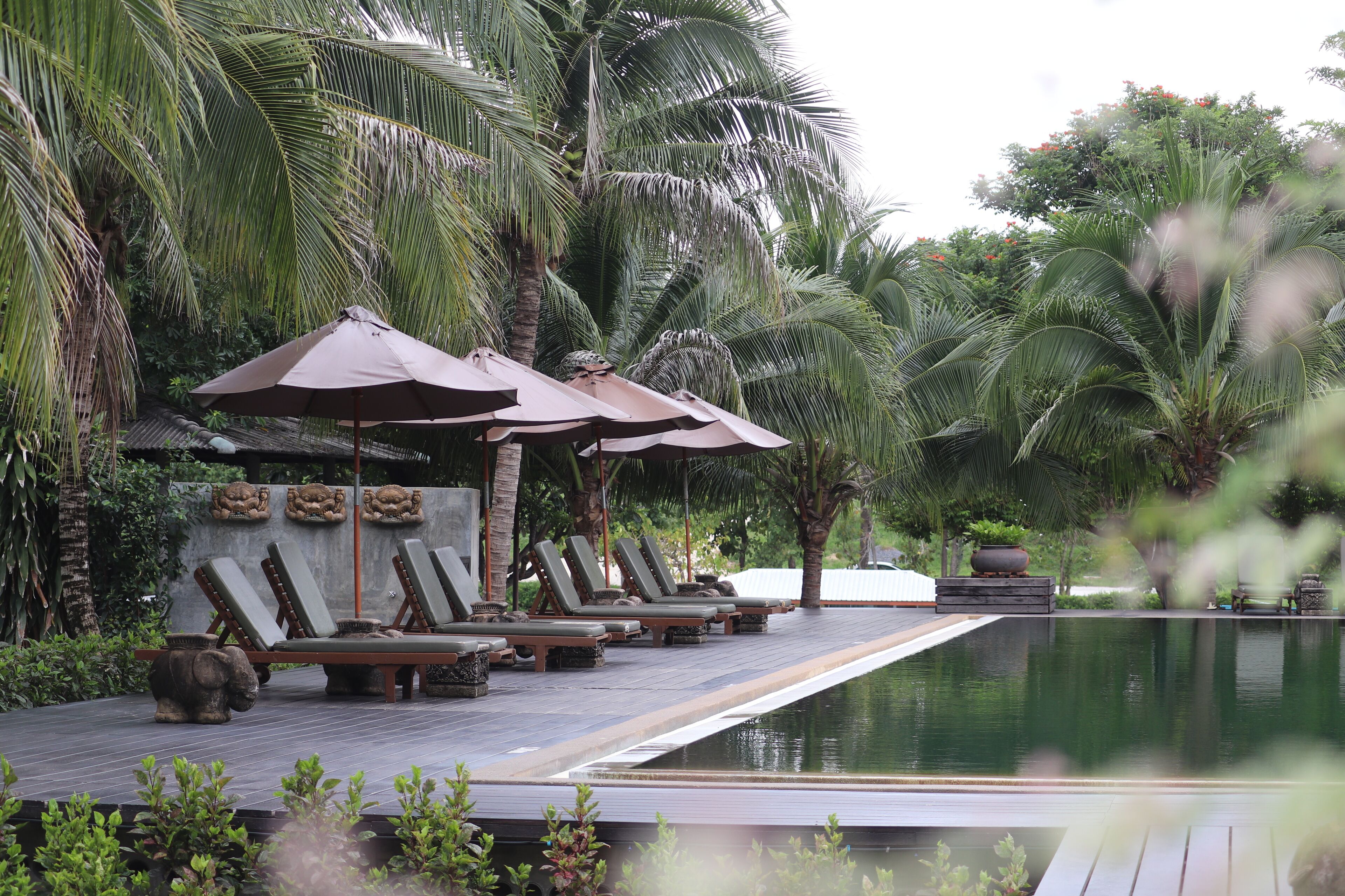 outdoor pool, pool umbrellas, pool loungers