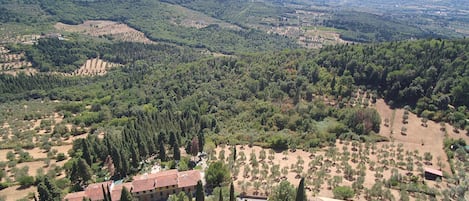 Un paisaje rural con edificios dispersos, bosques densos y colinas onduladas al fondo.