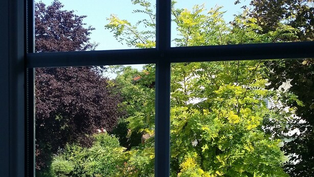 A window with a view of a garden with various trees and a stone pathway. - Wirth z Moosham (Kirchdorf)