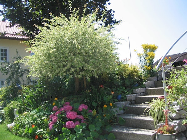 Un jardin où l’on trouve une grande variété de plantes et de fleurs, un escalier en pierre et une maison en arrière-plan.