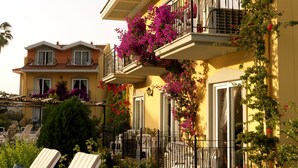 Un edificio amarillo con balcones, terraza y plantas florecientes.