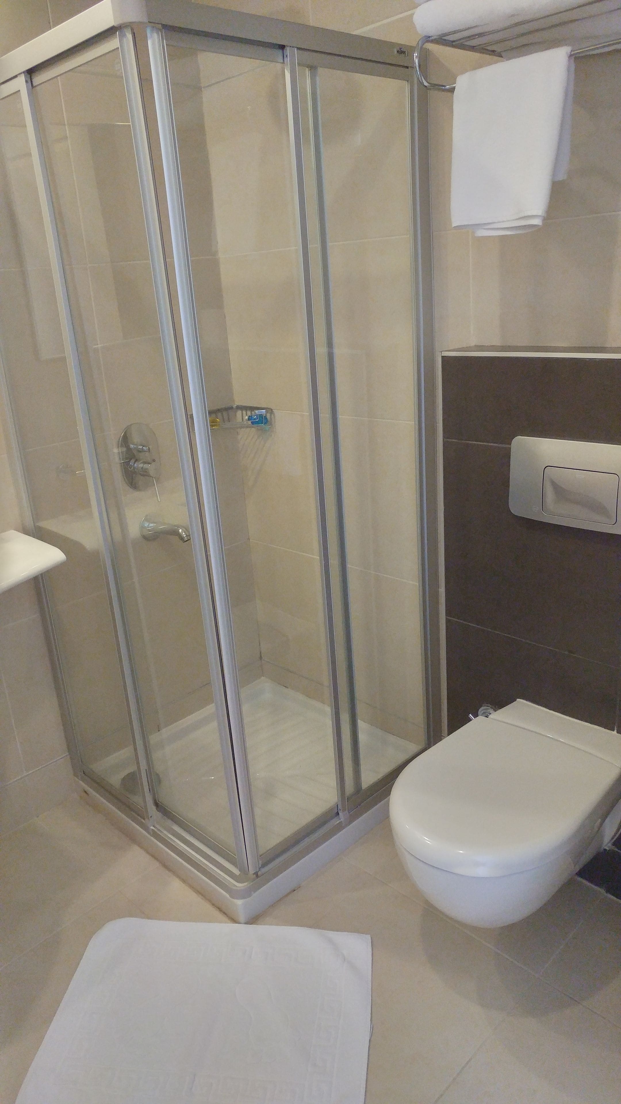 Une salle de bain avec une douche à parois de verre, des toilettes et un porte-serviettes.