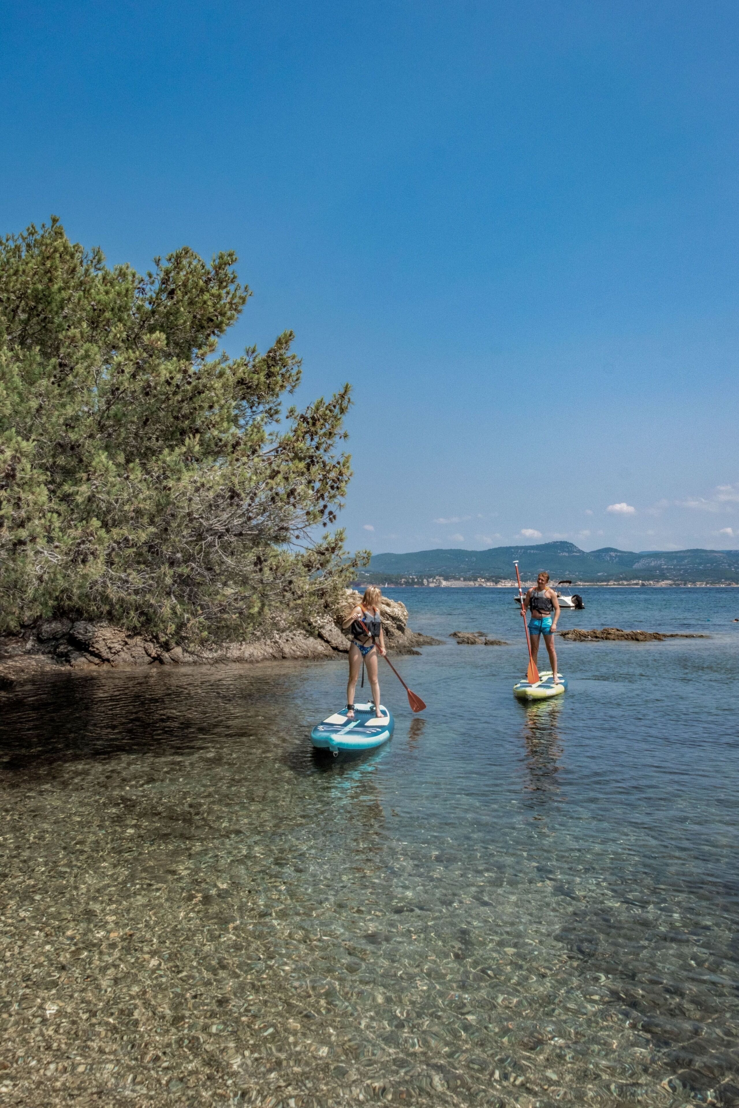 Deux personnes pratiquent le paddle dans une eau claire et peu profonde, avec un arbre et des montagnes lointaines en arrière-plan.