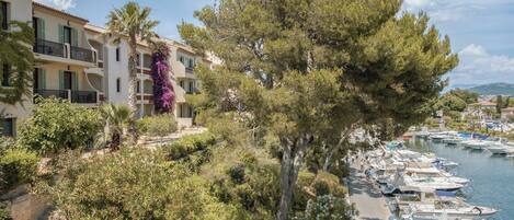 Vista desde la propiedad