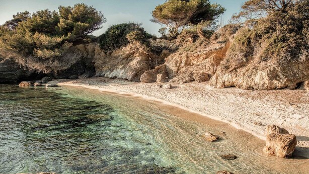 A beach with clear water, rocky shore, and trees. - Appartements de l'Hélios - Îles des Embiez (Six-Fours-les-Plages)