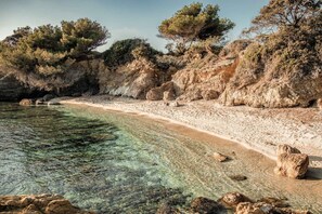 A beach with clear water, rocky shore, and trees. - Appartements de l'Hélios - Îles des Embiez (Six-Fours-les-Plages)
