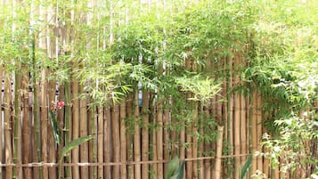 Puutarha
